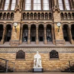 the charles darwin statue at london natural history museum