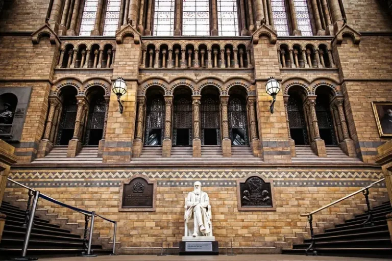 the charles darwin statue at london natural history museum