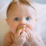 A baby eating a rusk