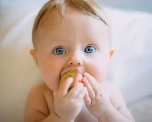 A baby eating a rusk
