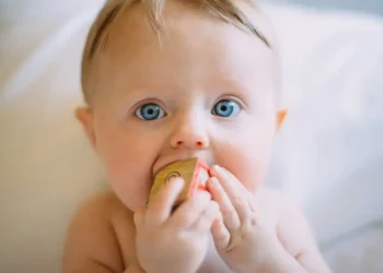 A baby eating a rusk