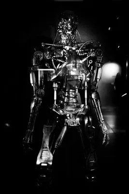 The Terminator T-800
