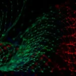 The sociological modelling of data flows