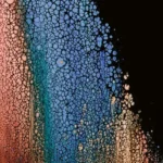 Another inexplicable abstract art work