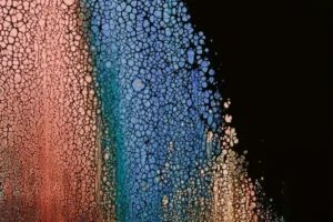 Another inexplicable abstract art work