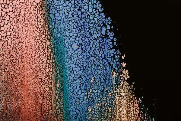 Another inexplicable abstract art work