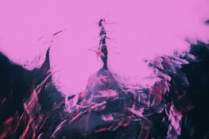 A pink and black abstract art piece