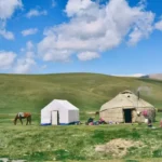 A nomad yurt in a green field on a sunny day