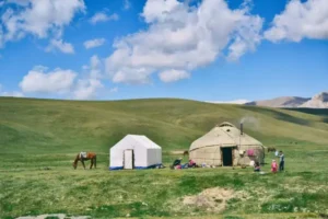 A nomad yurt in a green field on a sunny day
