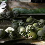 A collection of skulls