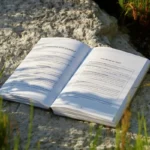 An open book lying on the grass.