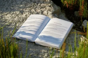 An open book lying on the grass.