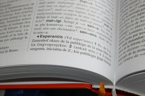 A dictionary