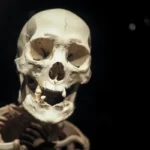 A human skull against a black background. The skull looks strangely happy and motivated.