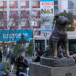 The hachiko statue in shibuya