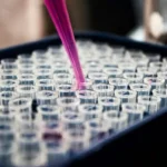 A pink pipette and a block of test tubes